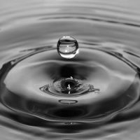 Self Leadership B&W 1 Self Leadership B&W 1